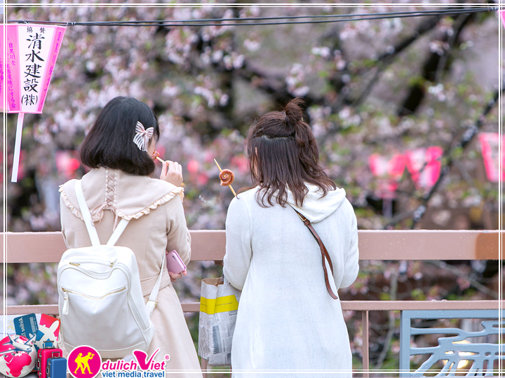Du lịch Nhật Bản ngắm hoa Anh Đào công viên Ueno giá tốt 2018
